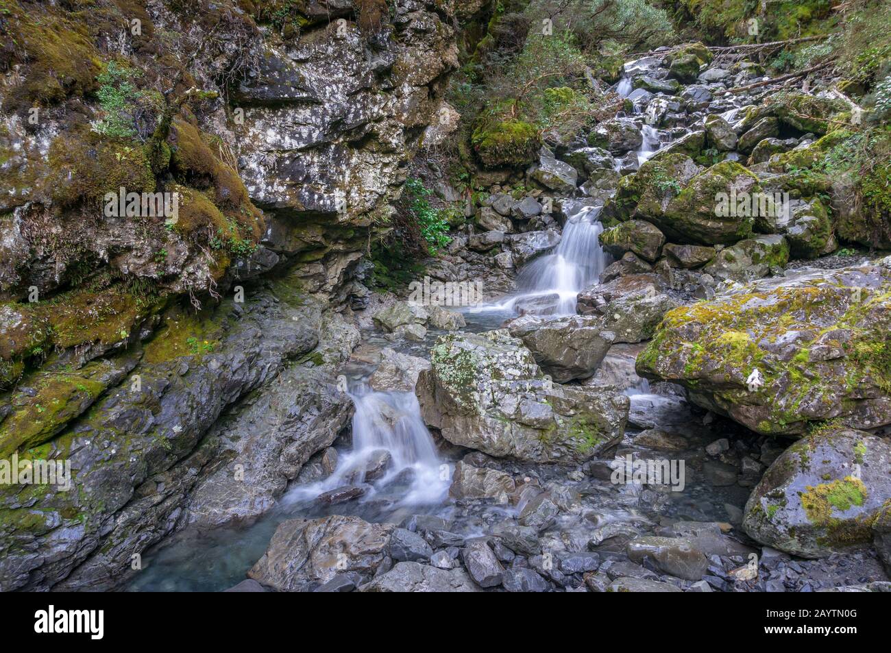 Gebirgsfluss, der über nasse moosige Felsen fließt, Naturhintergrund Stockfoto