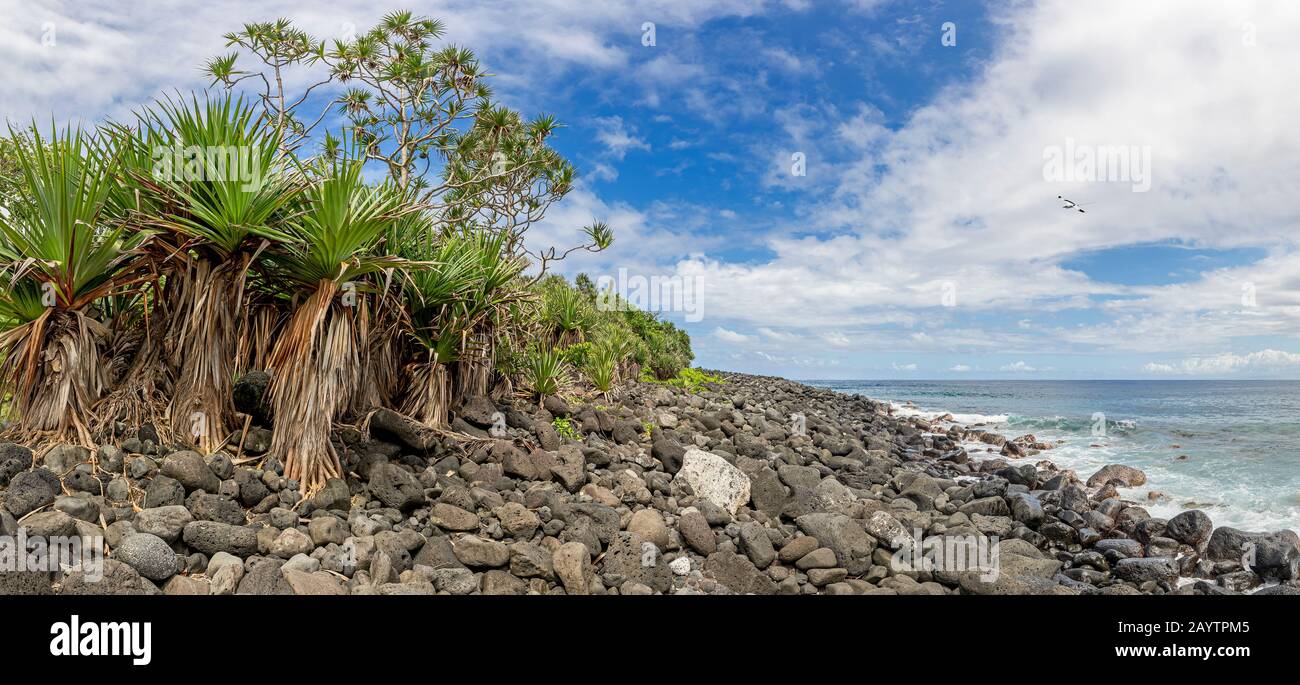 Küstenlinie in der Nähe von Anse des Cascades auf der Insel La Reunion mit tropischem Vogel Stockfoto