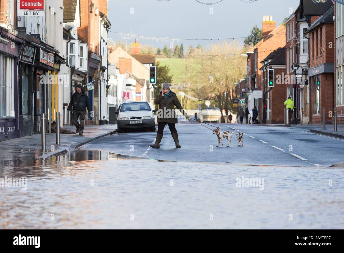 Tenbury Wells, Worcestershire, Großbritannien. Februar 2020. Am Tag, nachdem der Fluss Teme seine Ufer platzen ließ, die Stadt überschwemmt, wird das Leben wieder normal, als eine Frau ihre Hunde die Hauptstraße hinunter läuft. Kredit: Peter Lopeman/Alamy Live News Stockfoto