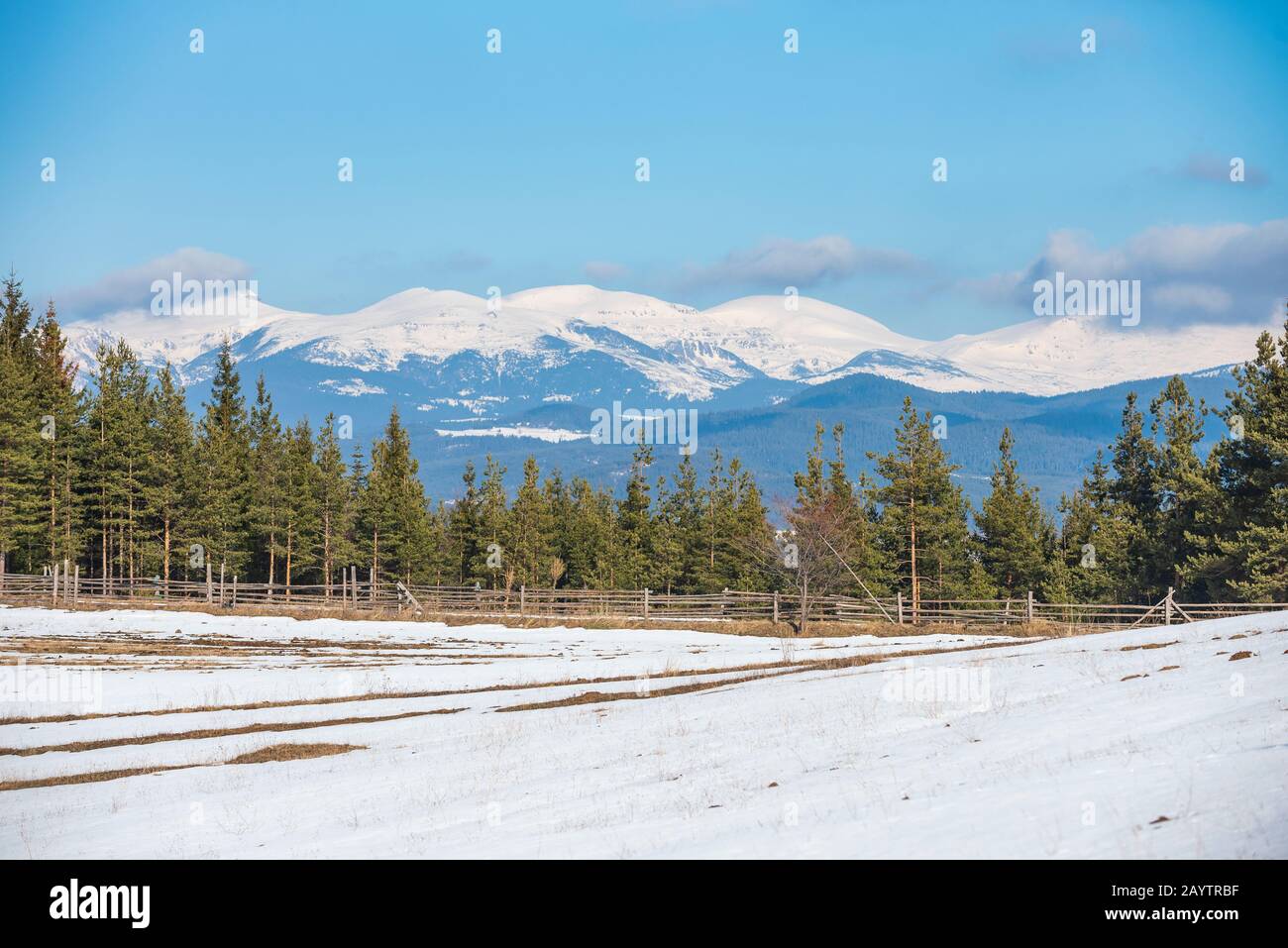 Winter in den Rhodopen-Bergen, Bulgarien vor den schneebedeckten Rila-Berggipfeln Stockfoto