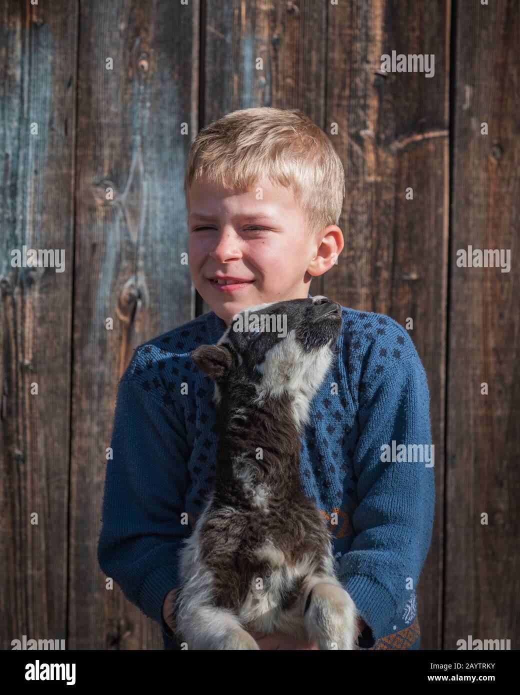 Krastava Dorf, Rhodope Berge / Bulgarien: Porträt des kleinen Jungen Umarmung Lamm auf dem Hof. Stockfoto