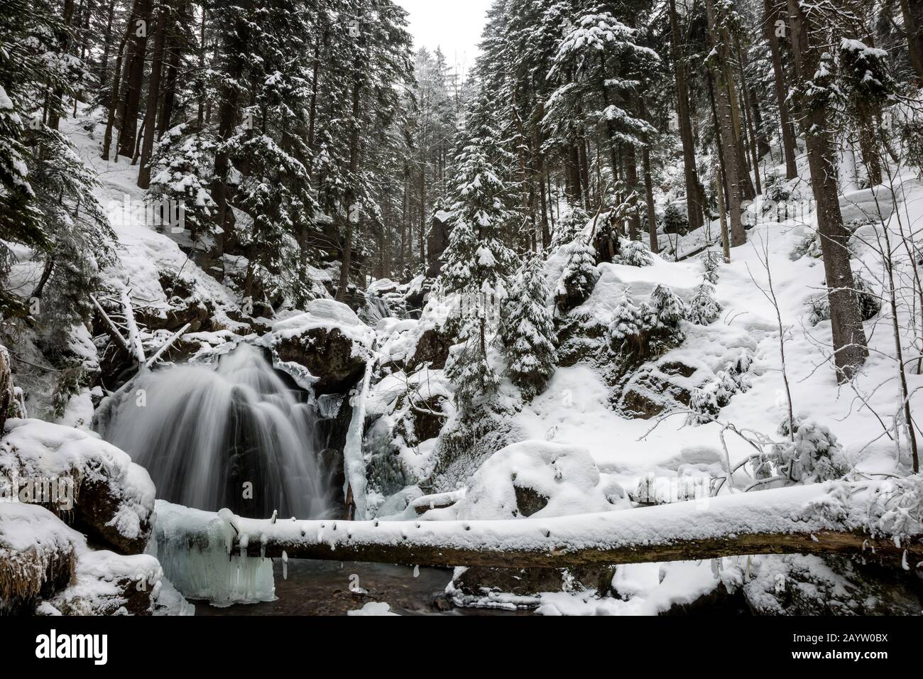 Bergbach Rissbach im Winter, Deutschland, Bayern, Oberbayern, Oberbayern Stockfoto