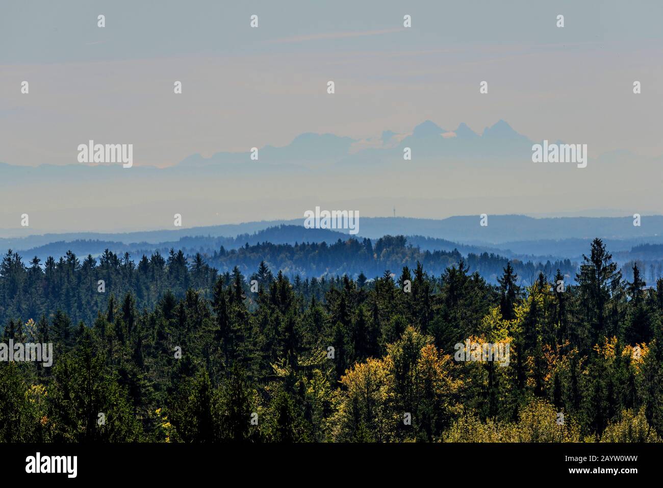 Blick von Klingenbrunn ins Salzkammergut, Deutschland, Bayern, Niederbayern, Niederbayern Stockfoto