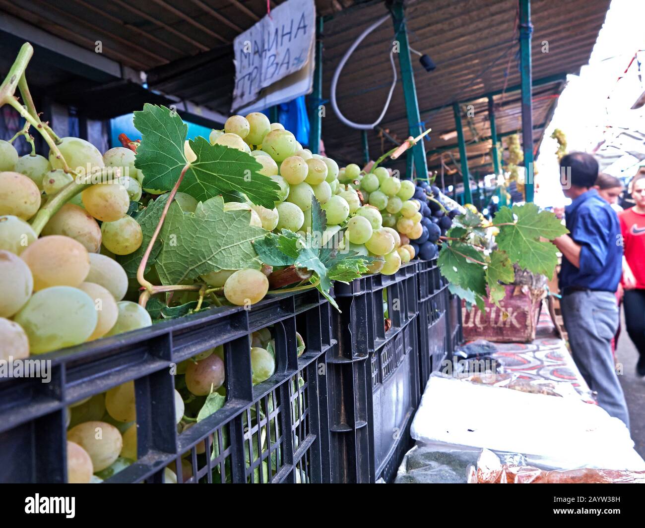 Frische grüne Trauben vom großen Markt in skopje Stockfoto