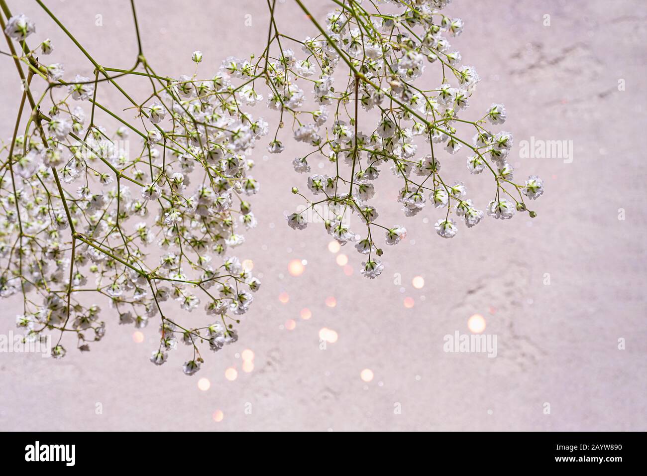 Wunderschöner Blumenstrauß mit Schatten auf hellgrauem Betonhintergrund. Konzept für Hochzeitsfeier, Geburtstags-Feiertag-Grußkarte. Nahaufnahme, Draufsicht, flaches Layout, Kopierbereich. Weicher Fokus. Stockfoto