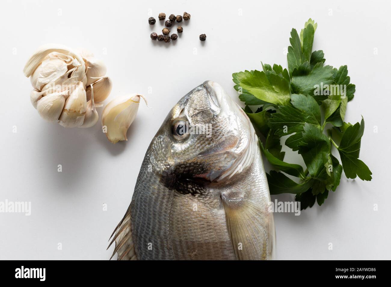 Meerbrassen ist einer der hochgelobten adriatischen Weißfische Stockfoto