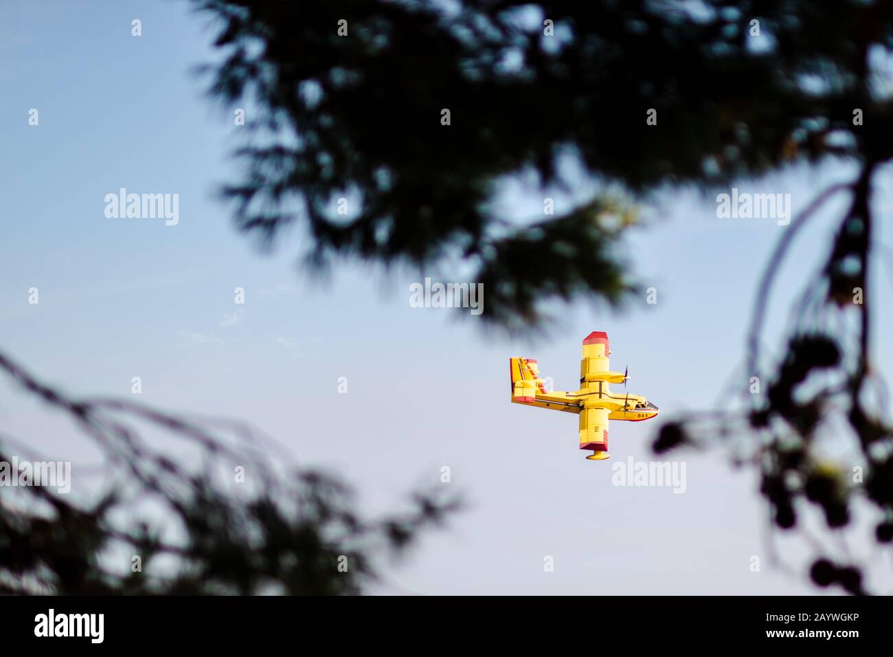 Waldbrand an der Küste Kroatiens Stockfoto