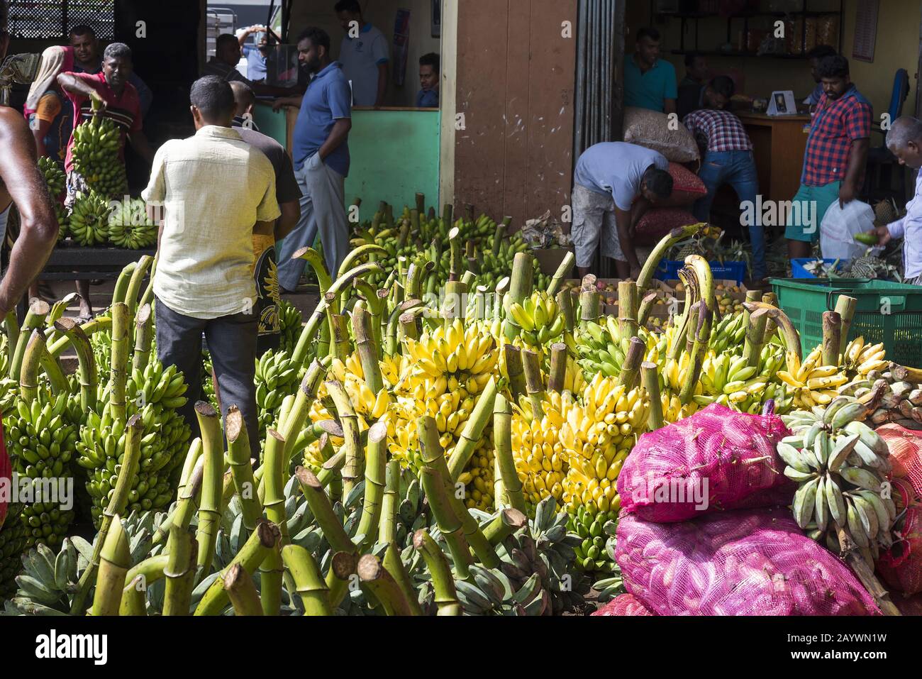 Dambulla, Sri Lanka: 18.03.2019: Innerhalb des größten Obst- und Gemüsemarkts in Sri Lanka. Frische Bananen sind zum Verkauf bereit. Stockfoto