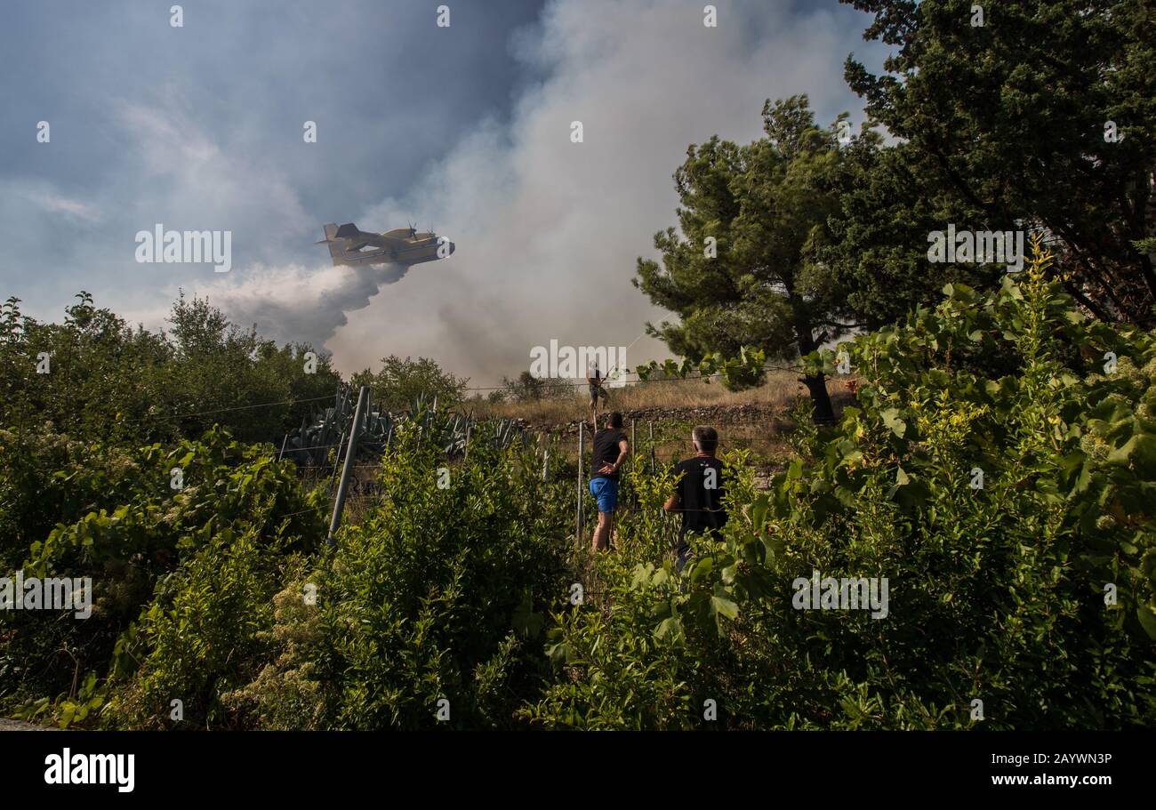 Waldbrand an der Küste Kroatiens Stockfoto