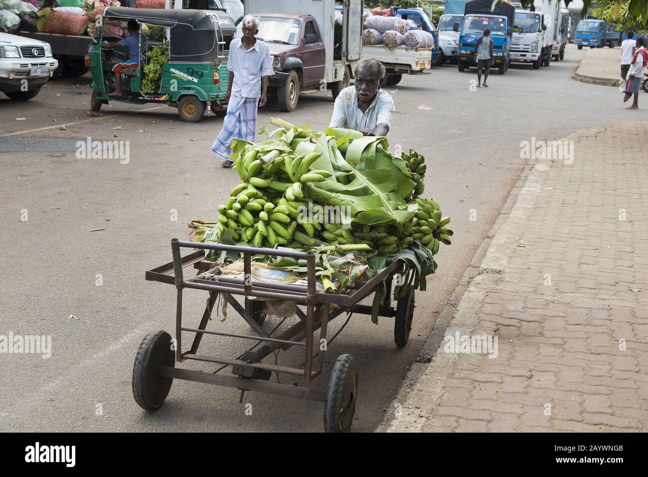Dambulla, Sri Lanka: 18.03.2019: Bauer nimmt seine Bananenernte mit einem Handwagen auf den Markt. Stockfoto