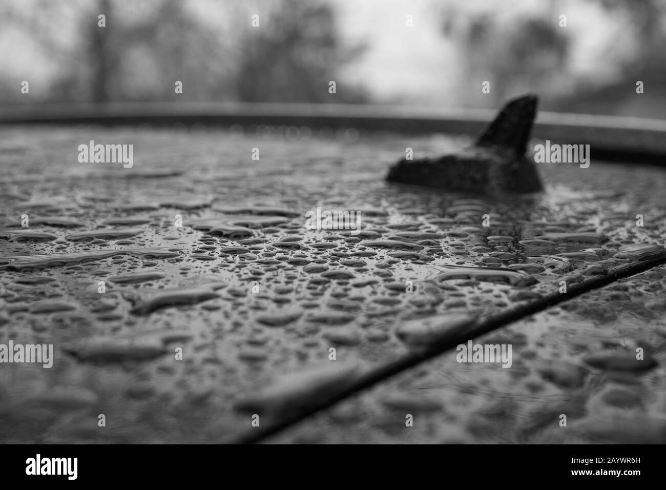 Wasser auf dem Dach eines Anwesen, das mit dem Auto bewachsen ist. Stockfoto
