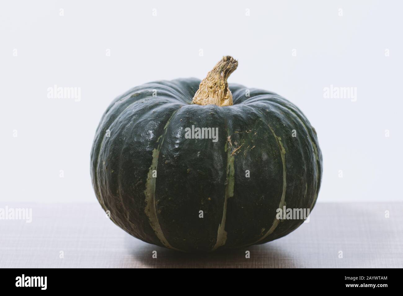 Kürbis aus Kastanie im Studio Stockfoto