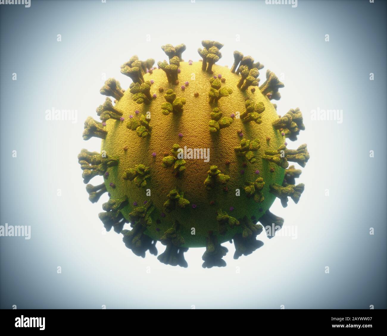 COVID-19, Coronavirus, eine Gruppe von Viren, die Krankheiten bei Säugetieren und Vögeln verursachen. Beim Menschen verursacht das Virus Atemwegsinfektionen. Stockfoto