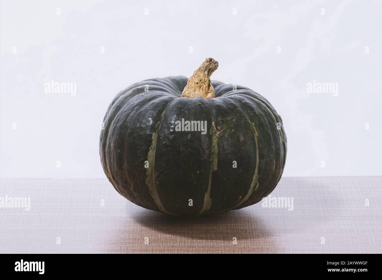 Kürbis aus Kastanie im Studio Stockfoto