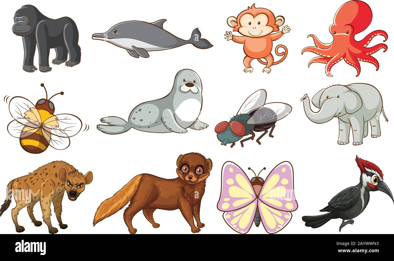 Große Tierwelt mit vielen Arten von Tieren Illustration Stock Vektor