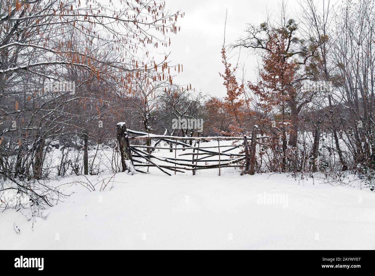 Zaun von Holzstäben in einem verschneiten Garten Stockfoto