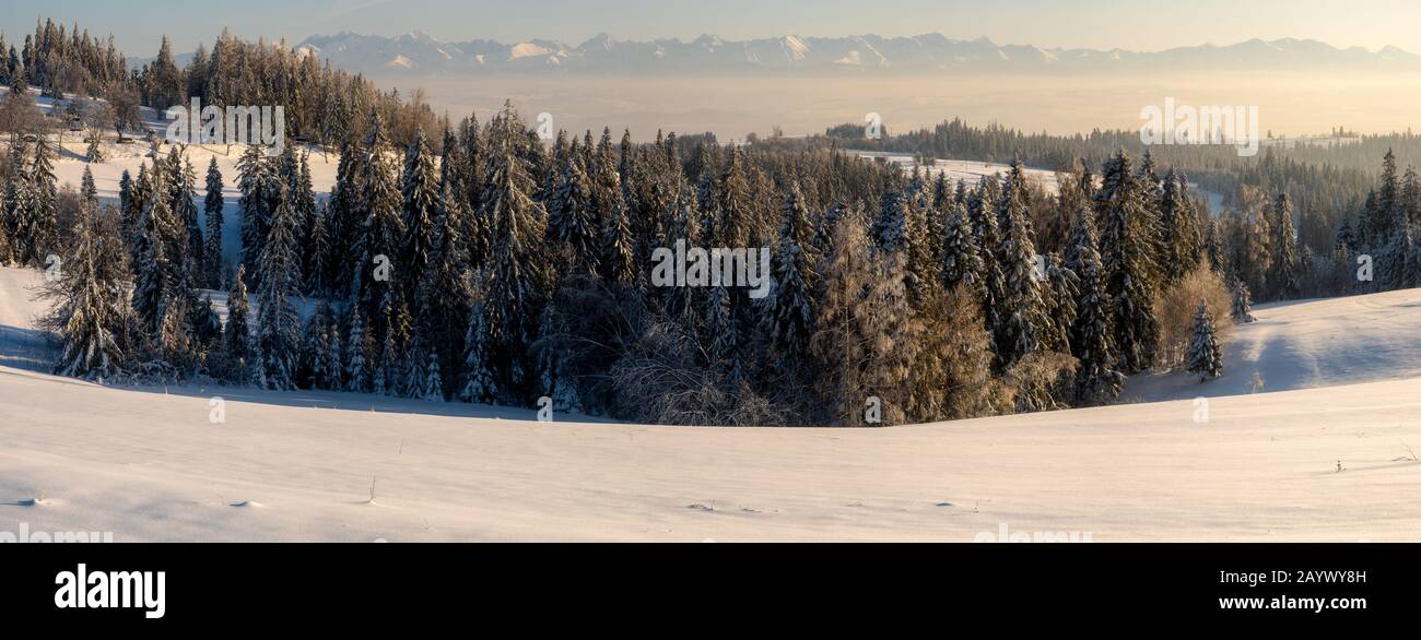 Eine schöne Winterlandschaft mit verschneiten Bergen im Hintergrund im warmen Licht der untergehenden Sonne Stockfoto