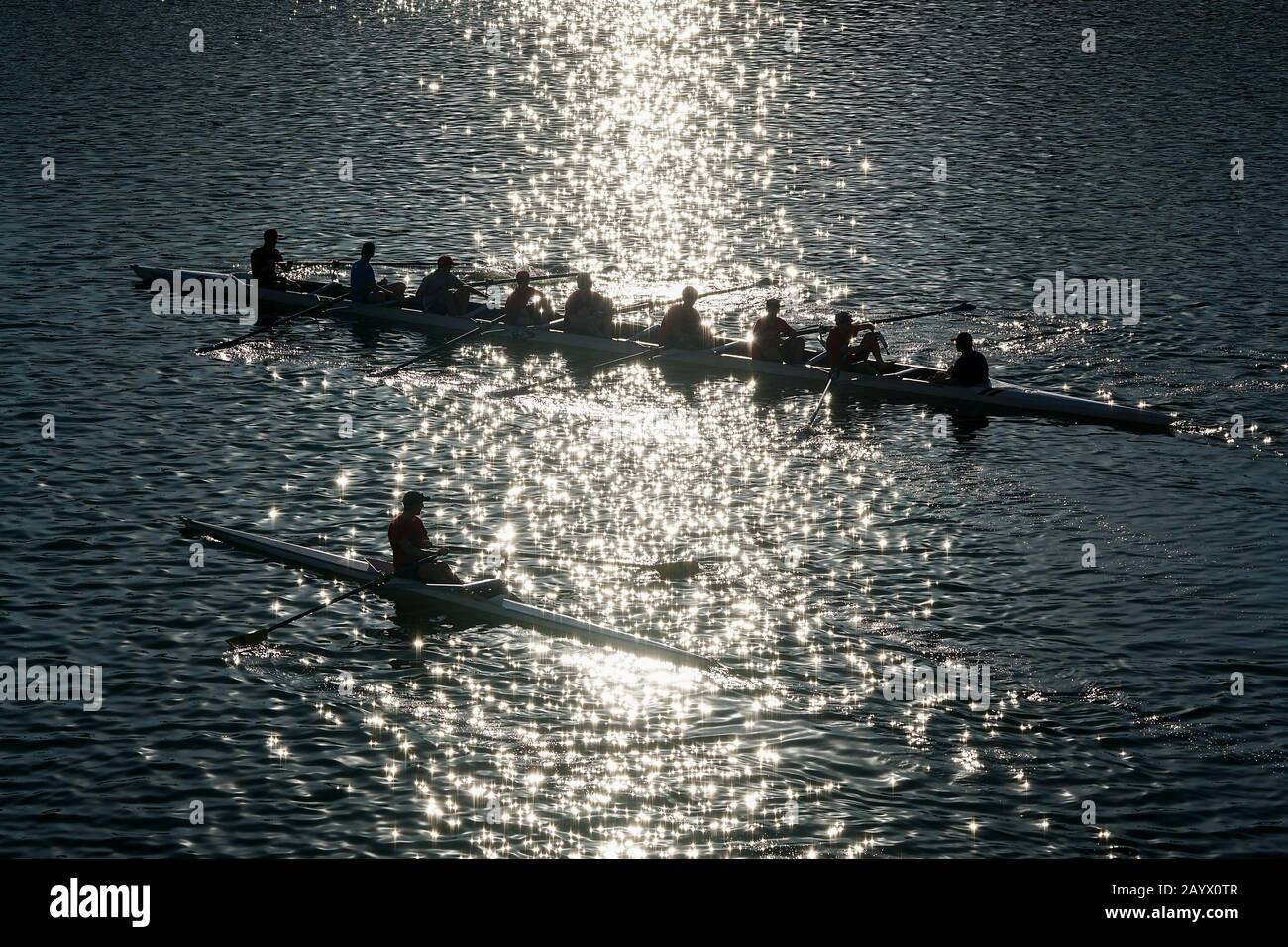 Team sculling Silhouette auf Tempe Town Lake. Tempe, Arizona. USA Stockfoto