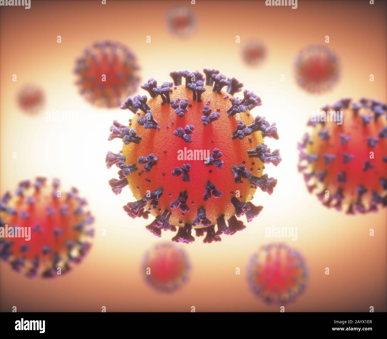 COVID-19, Coronavirus, eine Gruppe von Viren, die Krankheiten bei Säugetieren und Vögeln verursachen. Beim Menschen verursacht das Virus Atemwegsinfektionen. Stockfoto