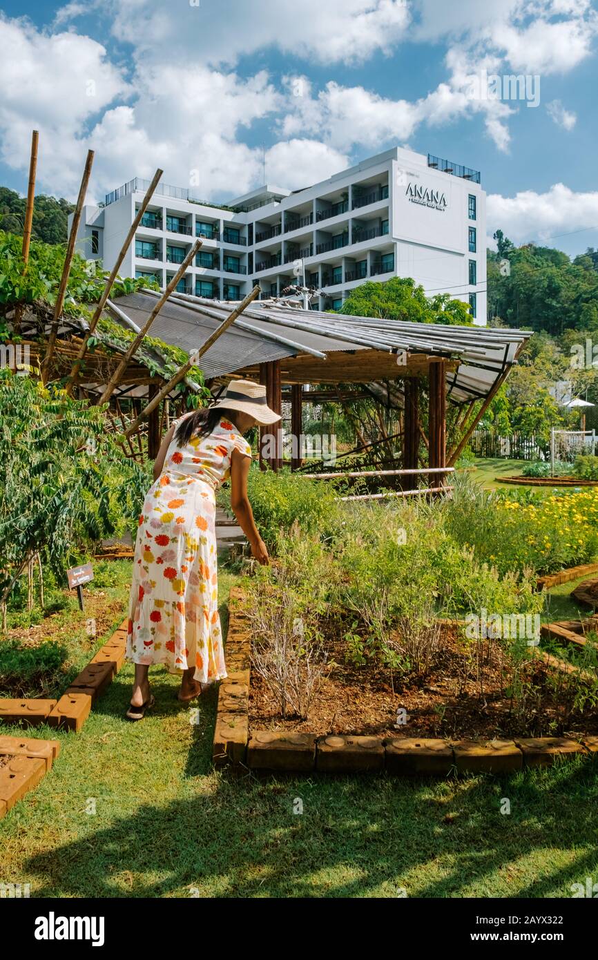 Krabi Thailand Januar 2020, Ein umweltfreundliches Luxusresort in Ao Nang, wo ein tropischer Garten um Anana Krabi liegt Stockfoto