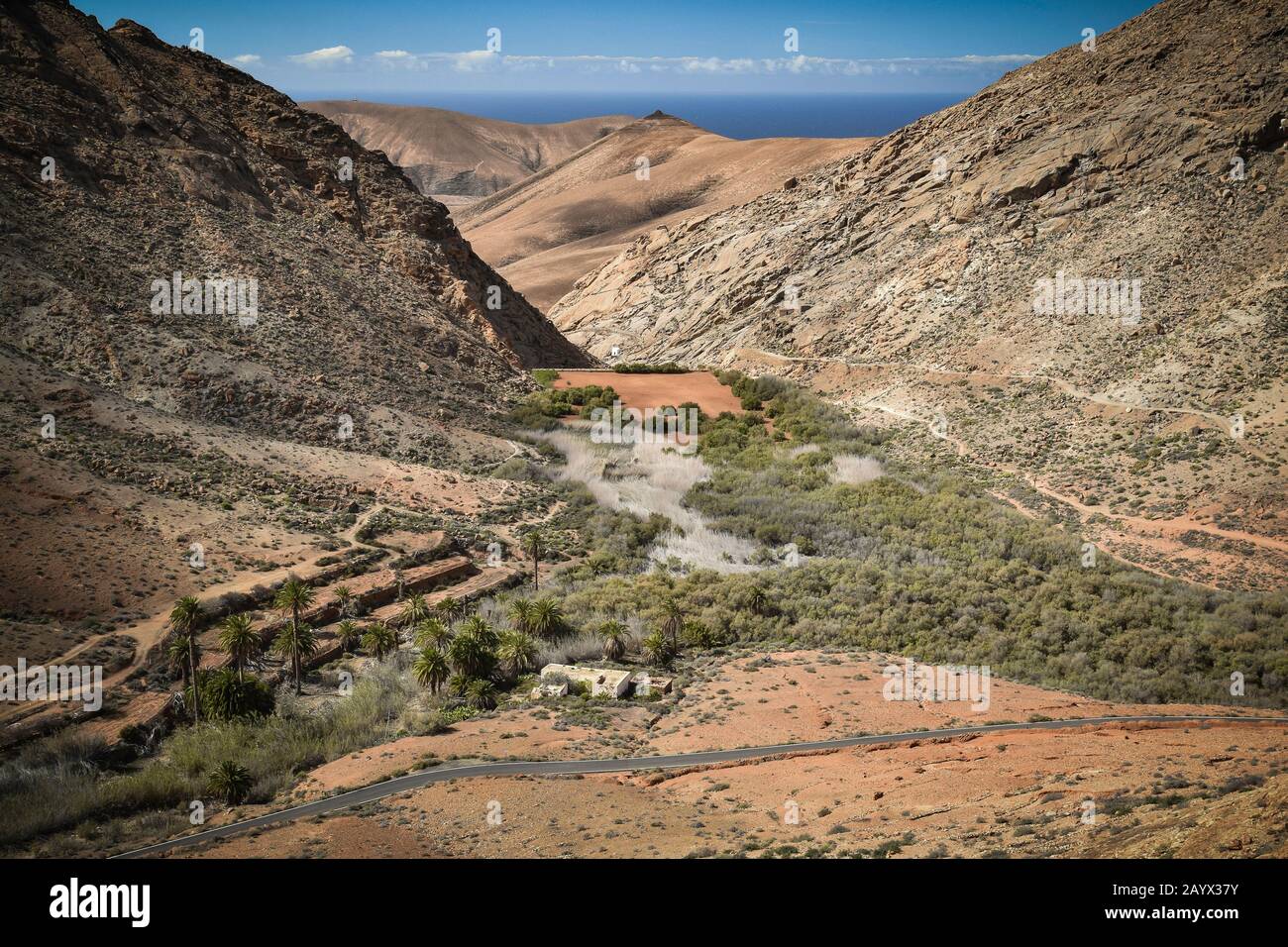 Taloase von Grün und Palmen zwischen vulkanischen Bergen mit Atlantik am Horizont. Fuerteventura, Spanien. Stockfoto