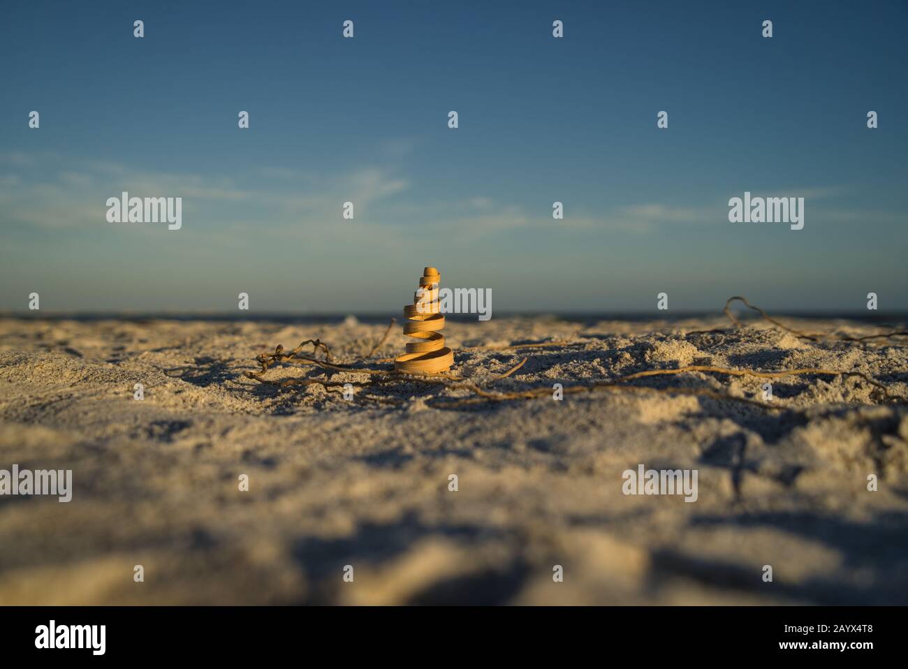 Schwerpunkt auf dekorativem Spiralholz am Strandhorizont und Wasser im Hintergrund Stockfoto