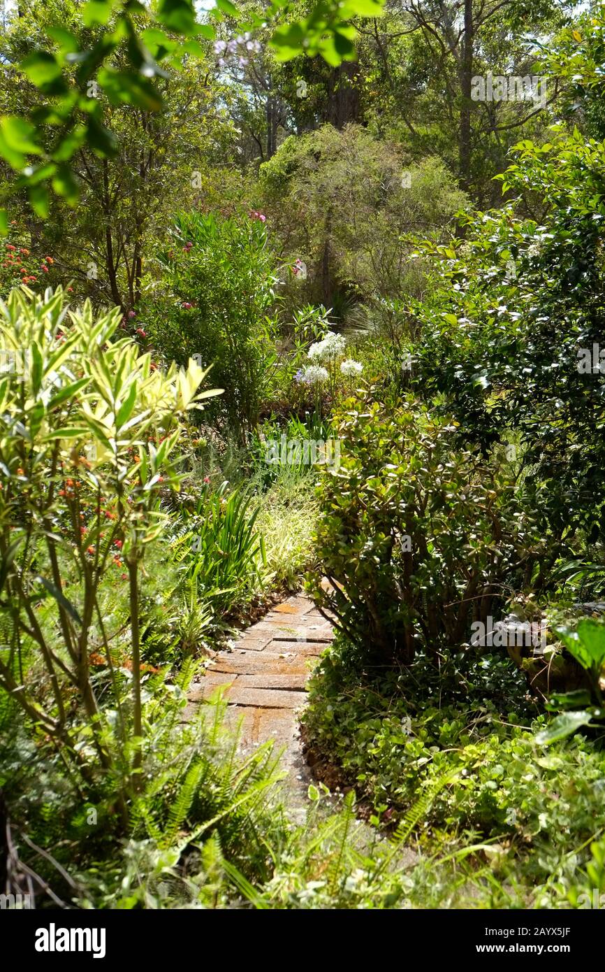 Garden Path Bella Retreat, Margaret River, Western Australia Stockfoto