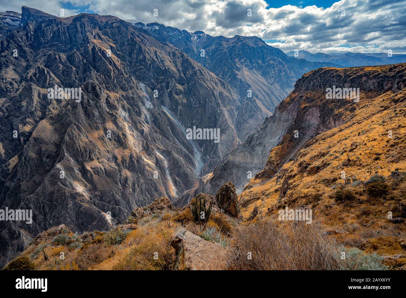 Colca Canyon, Peru Stockfoto