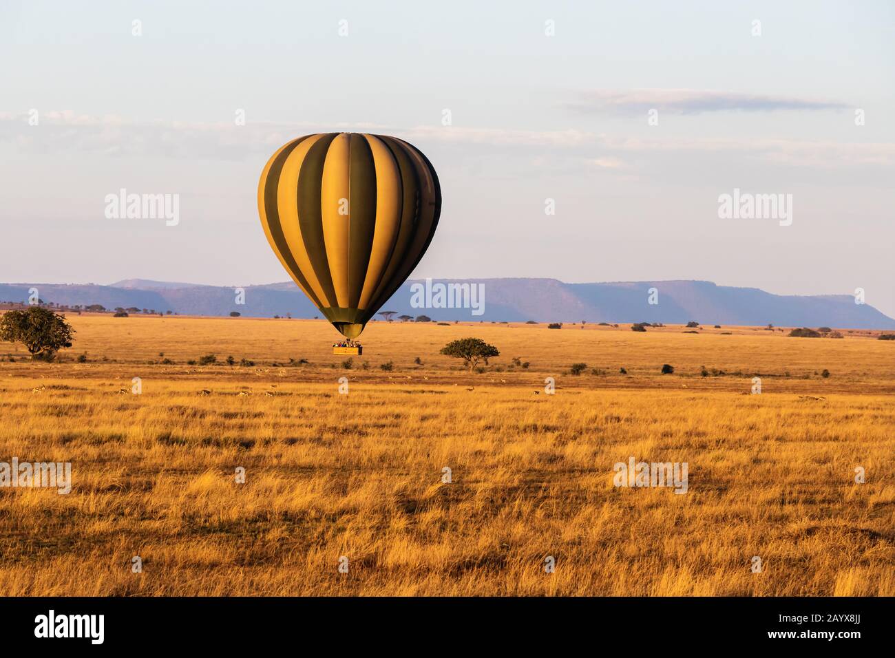 Morgenballon Safari über die Serengeti in Tansania Stockfoto