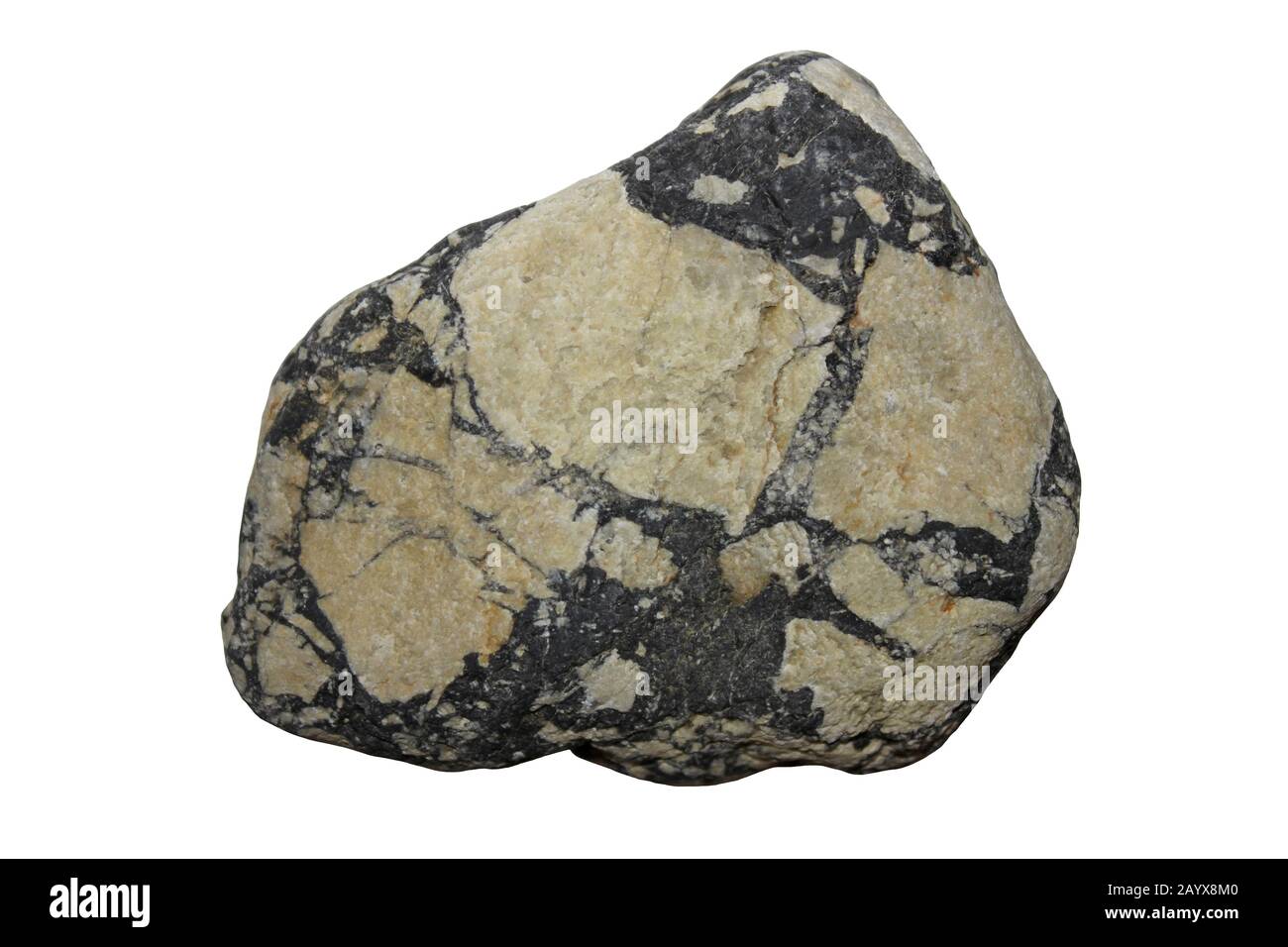Vulkanisches Breccia Rock-Exemplar mit Eckigen Felsfragmenten in einer Basalt-Matrix Stockfoto