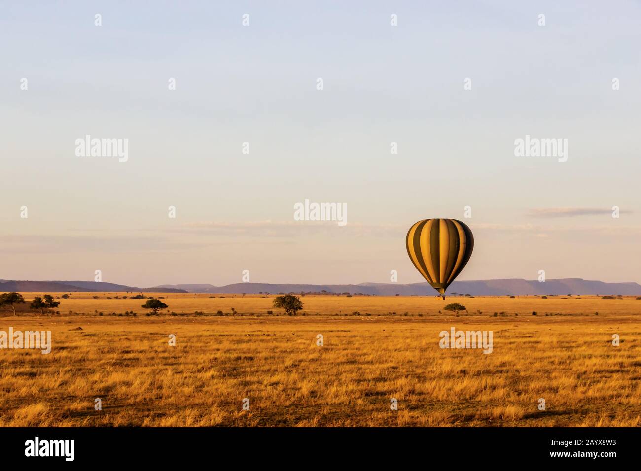 Morgenballon Safari über die Serengeti in Tansania Stockfoto