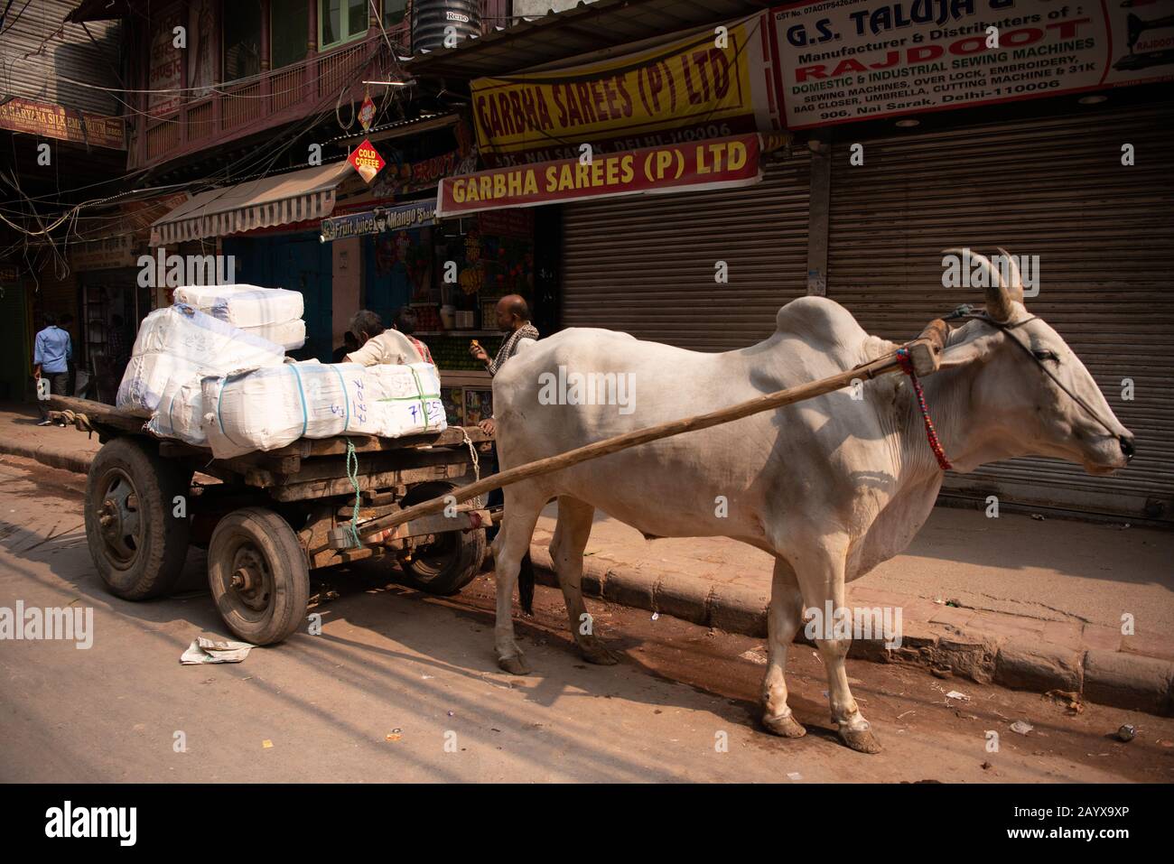 Händler machen sich auf den Weg durch die überfüllten Straßen des Marktes in Dehli, Indien. Stockfoto