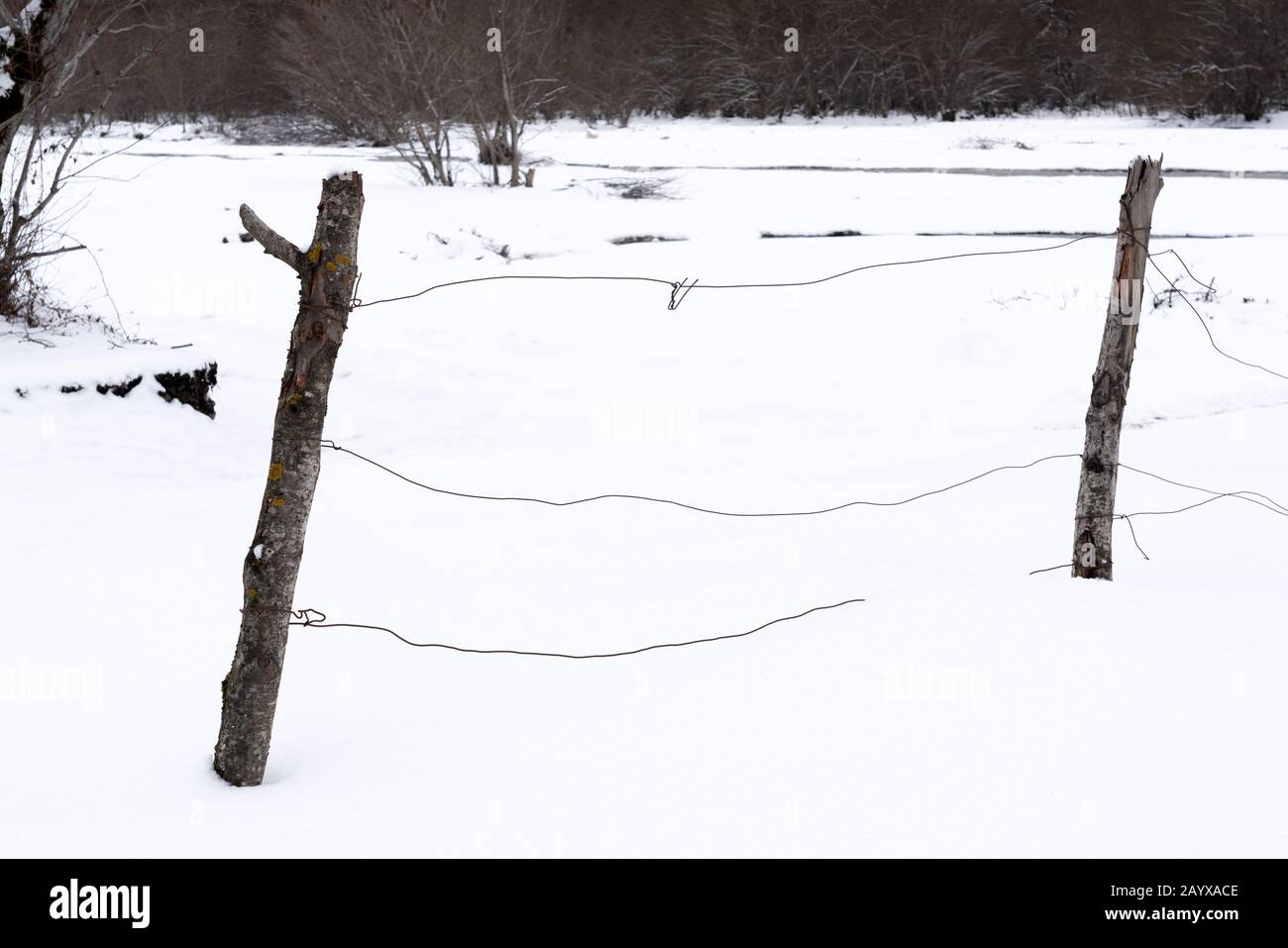 Alter Drahtzaun in einem verschneiten Garten Stockfoto