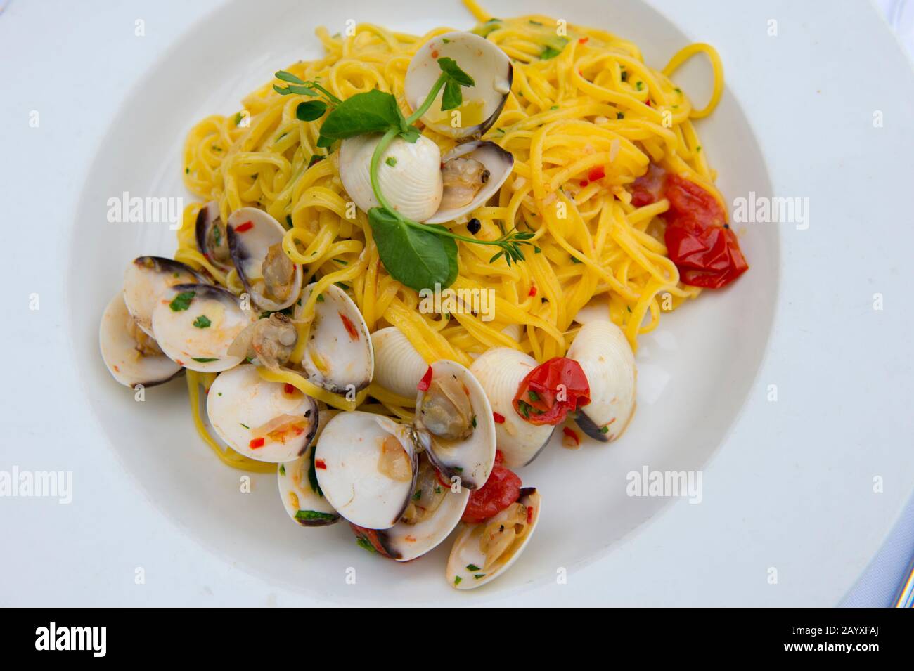 Linguini mit Muscheln wird in einem Restaurant in Prag, Tschechien, serviert. Stockfoto
