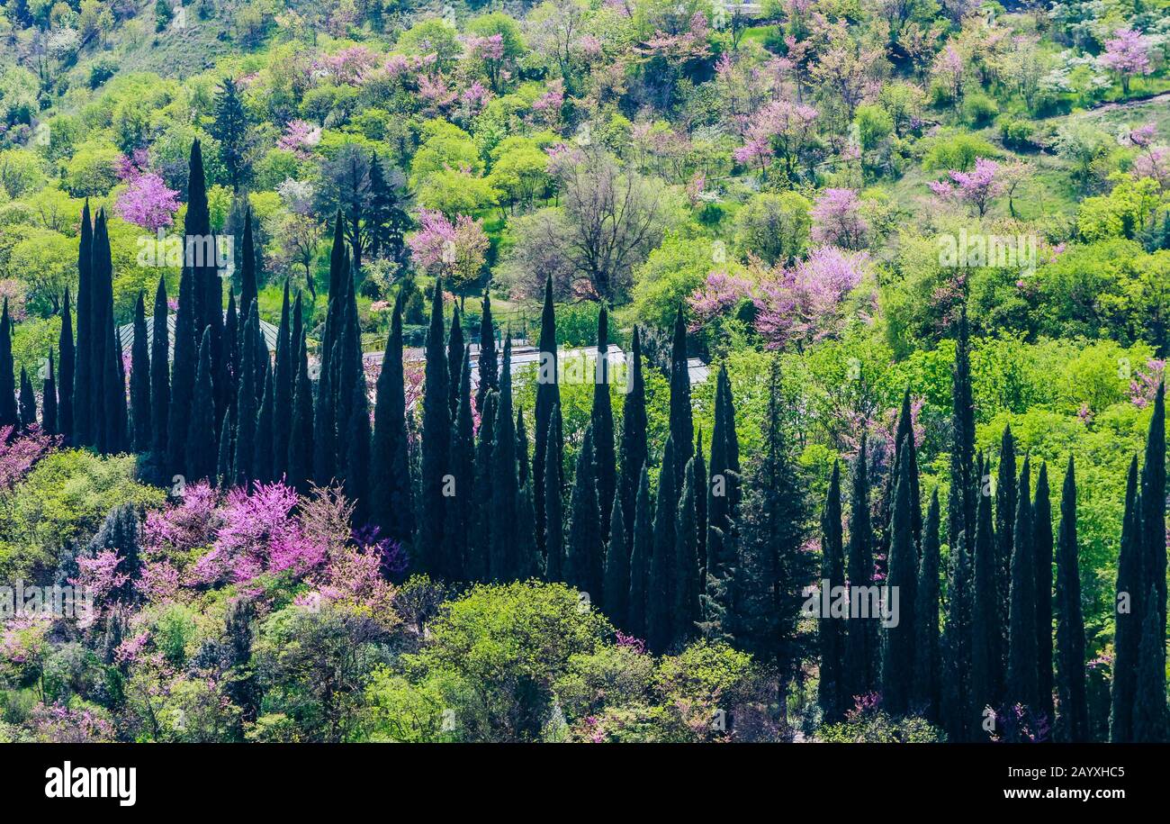 Ein Blick auf den Botanischen Garten von Tiflis bei der Festung Narikala, Georgien Stockfoto