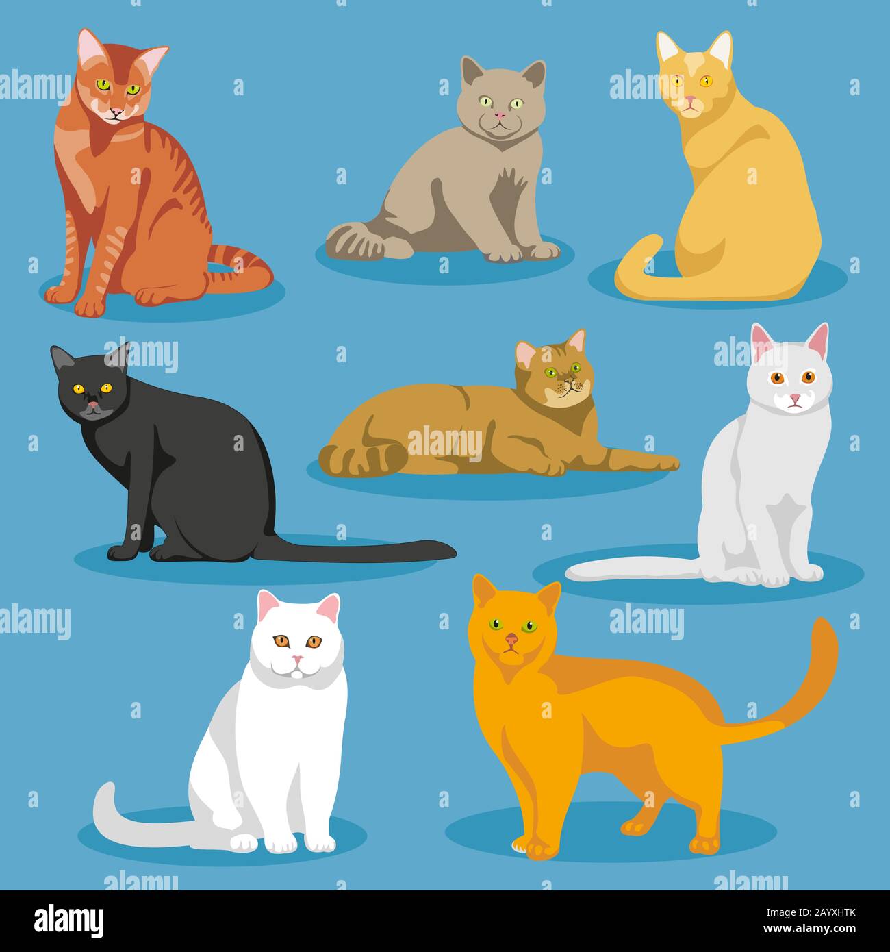 Niedliche Cartoon-Kätzchen oder Katzen Vektor-Set. Satz von Katzen und Cartoon-Illustration von Hauskatze Stock Vektor
