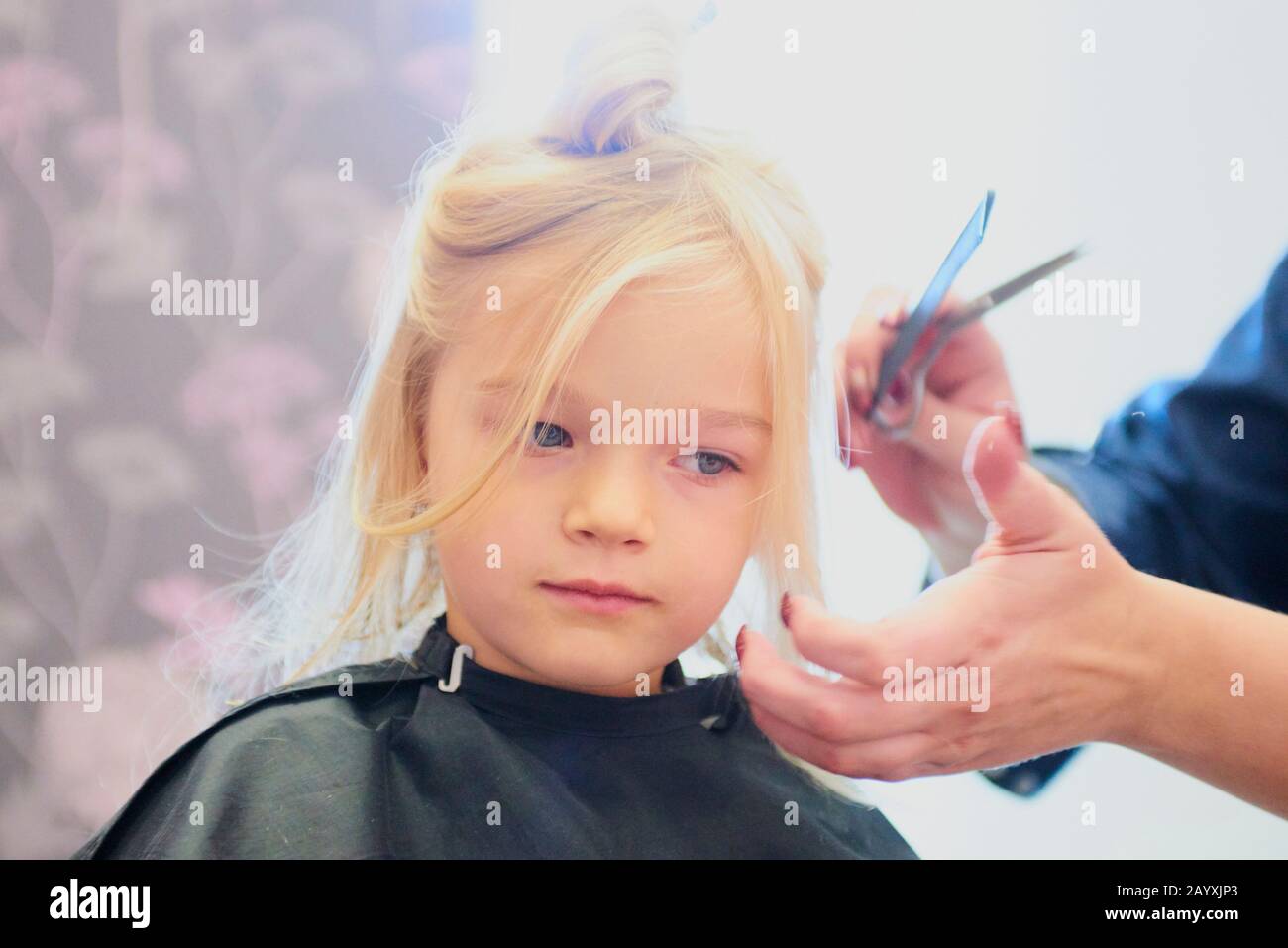 JIESENYU 6 Zoll Friseurschere – Professionelle Haarschere Aus Japan-Stahl, Ideal Für Salon Und Haustiere
