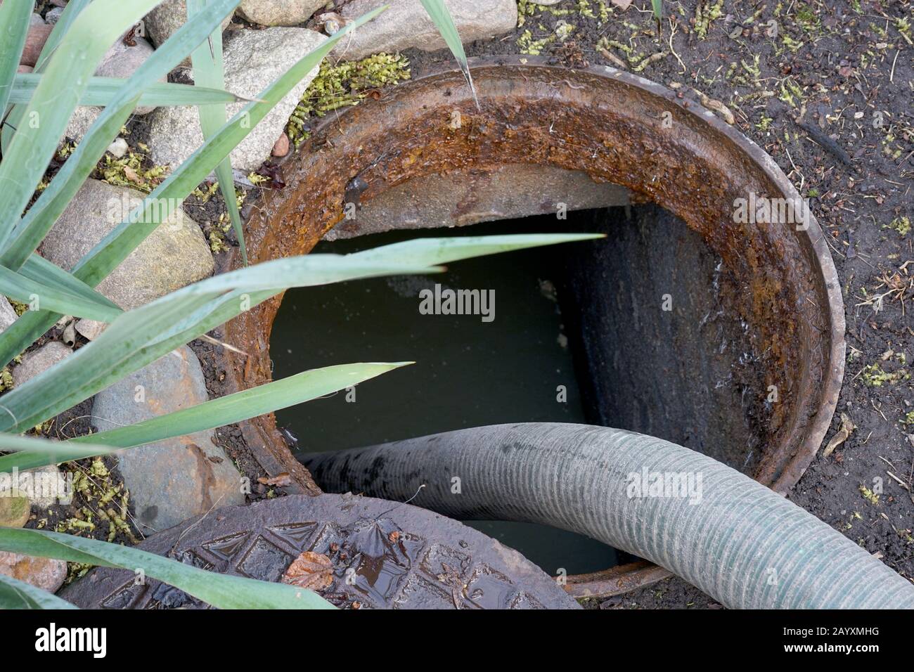 Pumpen von septischen Tanks aus dem Hinterhoftank auf dem Land Stockfoto