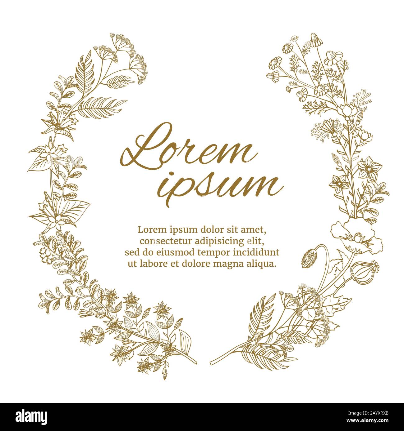 Hochzeitskranz mit wilden Blumen und Kräutern. Blumenkranz und Blumenkranz. Vector Vintage Illustration Stock Vektor