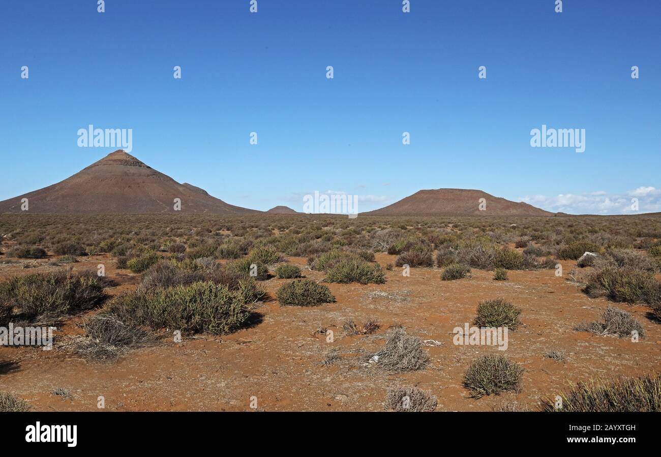 Blick über Karoo Habitat zu erodierten Hügeln Karoo, Northern Cape, Südafrika November Stockfoto