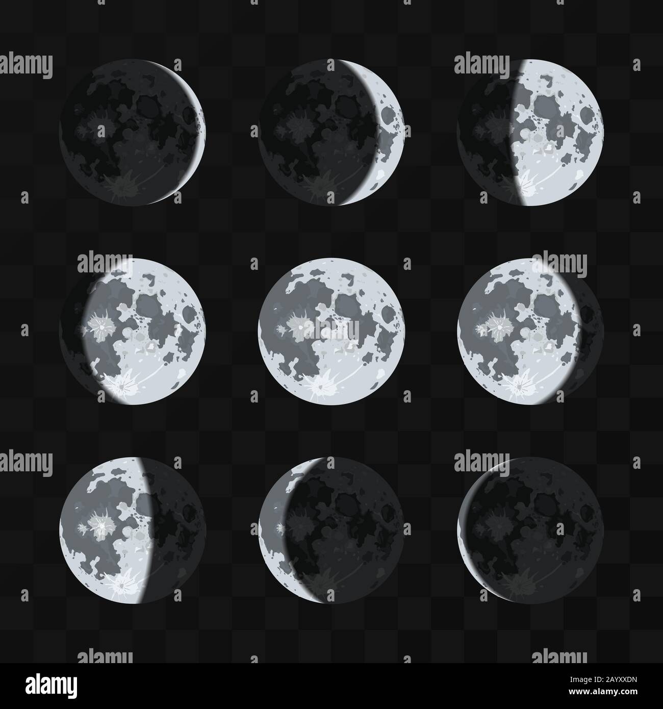 Vektormenge der Mondphasen. Nachtmond und Natur Vollmonddarstellung Stock Vektor