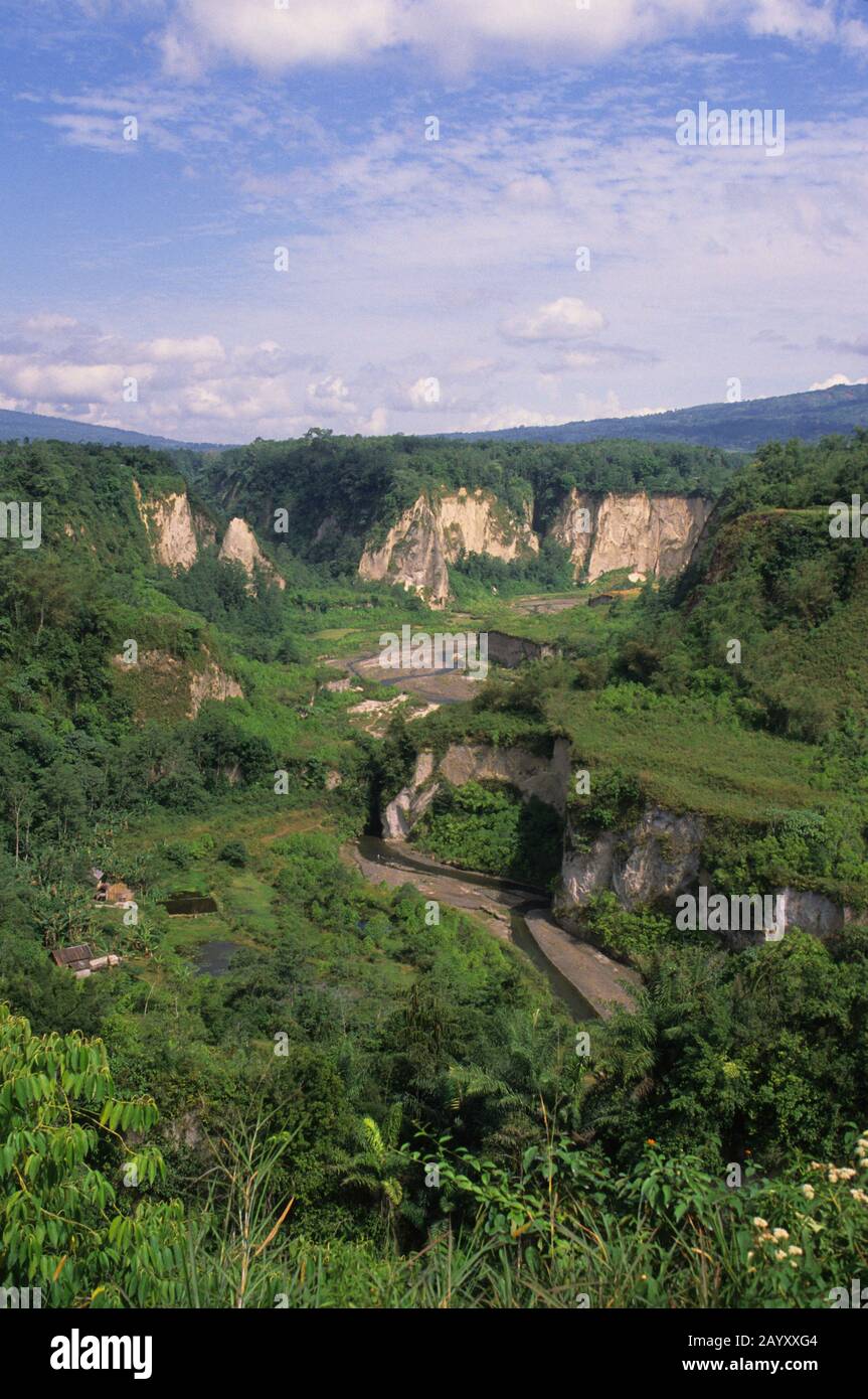 Blick auf den Ngarai Sianok Canyon im Regenwald bei Bukittinggi auf der Insel Sumatra in Indonesien. Stockfoto