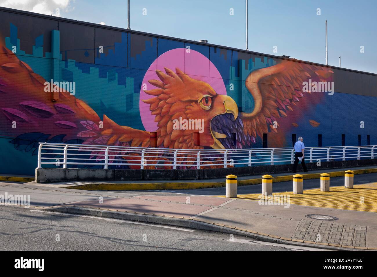 Medellin, Kolumbien - 08. Januar 2020: Graffiti-Wandbild eines Vogels auf einem Haus im Departamento de Antioquia, Medellin, Kolumbien Stockfoto