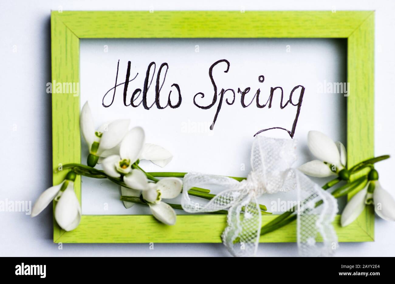 Frischer Schneeglöckchen Bouquet mit einem Band in einem Holzrahmen auf Weiß Stockfoto