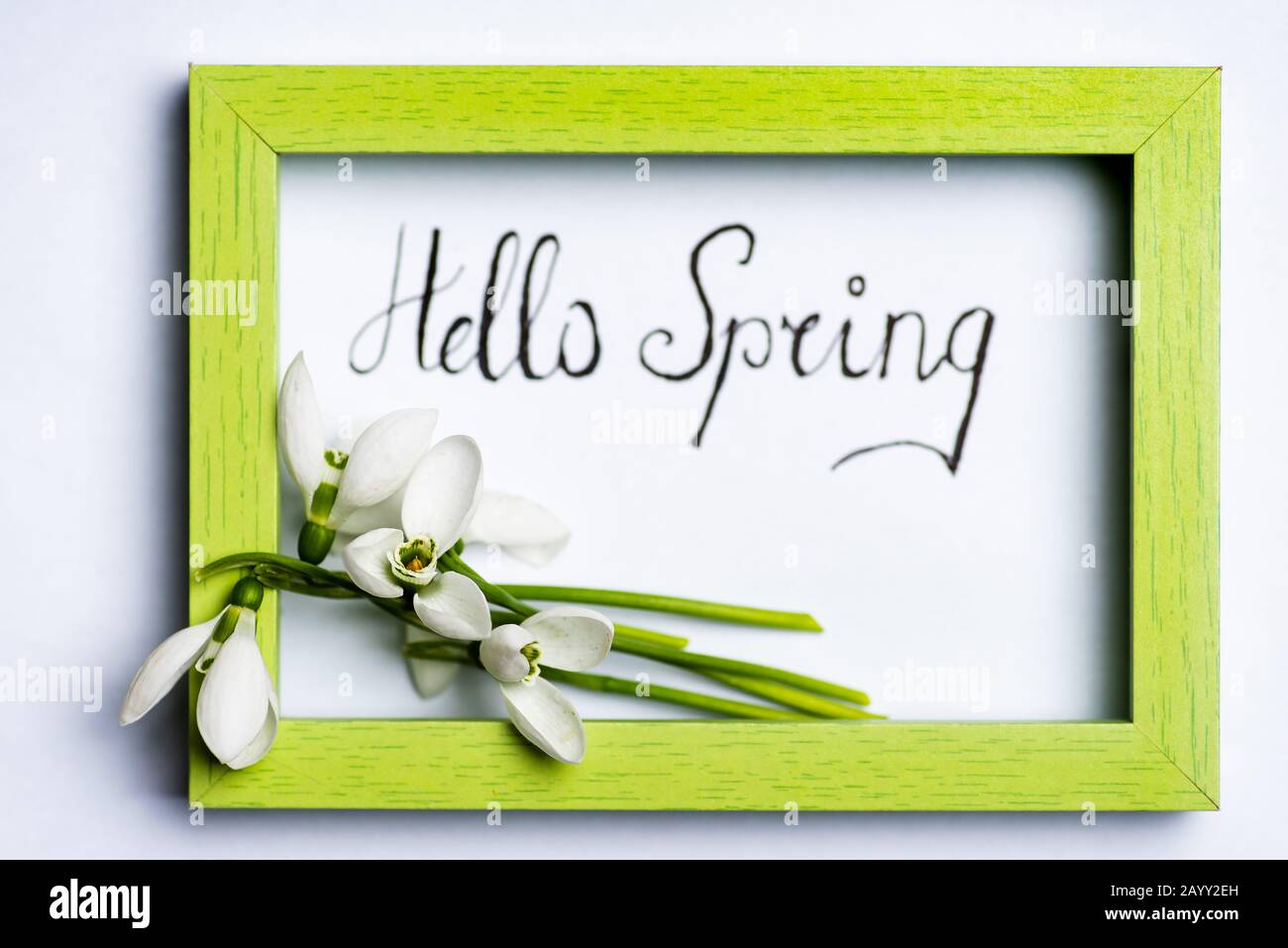 Frischer Schneeglöckchen Bouquet mit einem Band in einem Holzrahmen auf Weiß Stockfoto