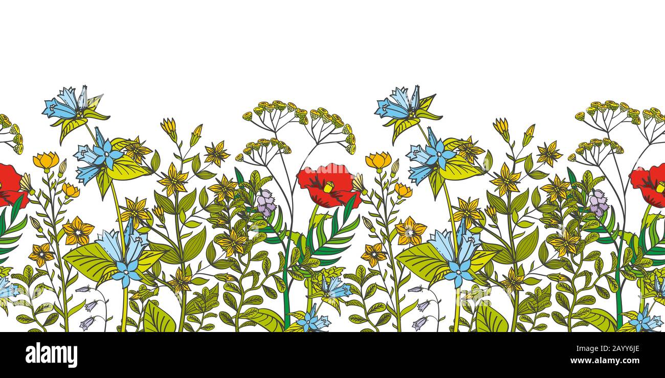 Nahtlose Vektor-Blumenumrandung mit farbigen Kräutern und wilden Blumen. Kräuterblatt aromatische Blume und Illustration organische Blume nahtlos Stock Vektor