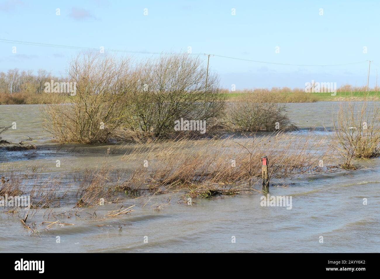 Washes Road Sutton Gault, überflutet nach Storm Dennis Stockfoto