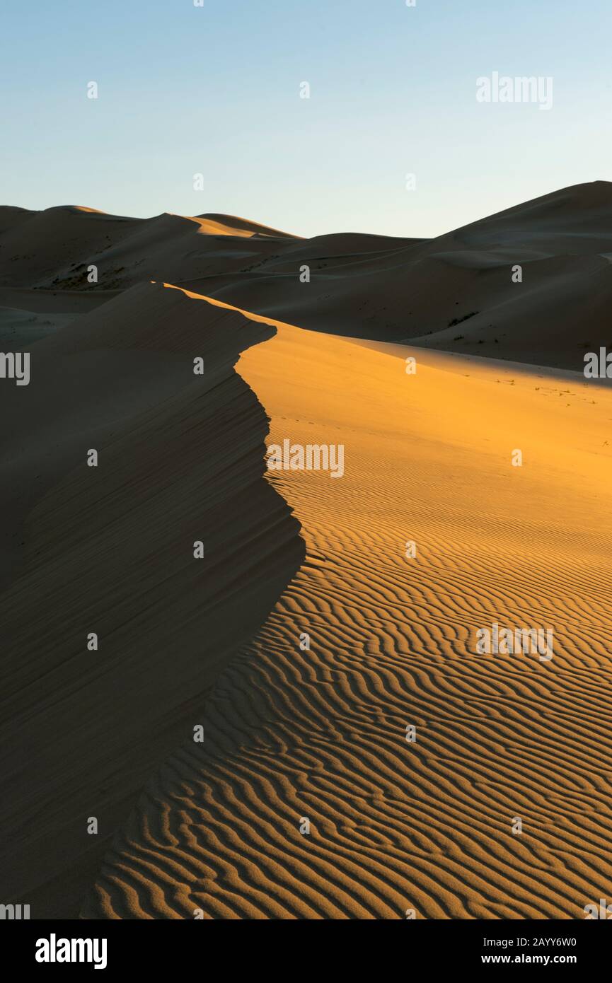 Das Abendlicht bringt die Wellen im Sand der Hongoryn-Els-Sanddünen in der Wüste Gobi im Süden der Mongolei hervor. Stockfoto