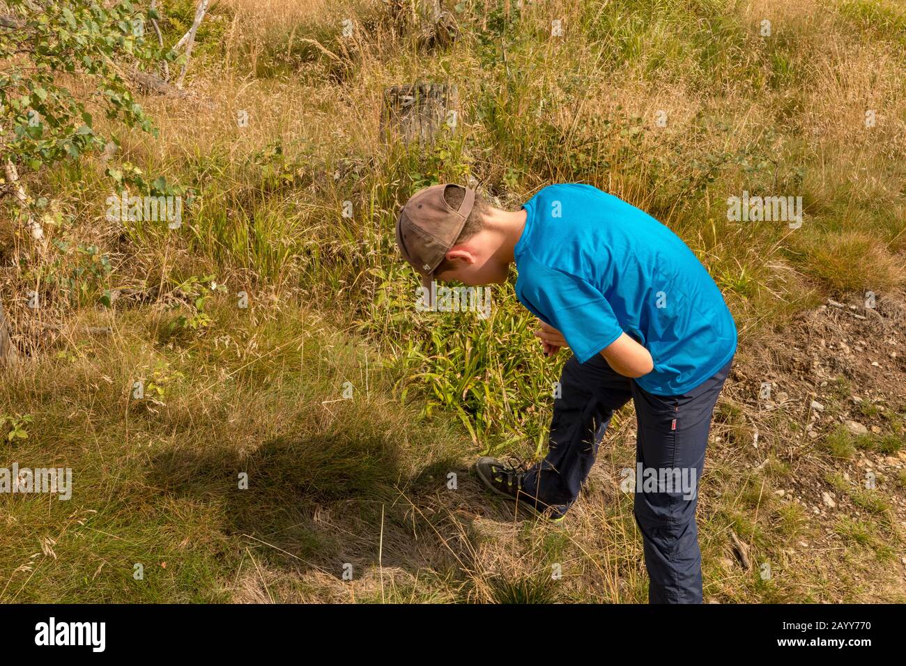 Junge auf der Suche nach Blaubeeren in der Heide Stockfoto