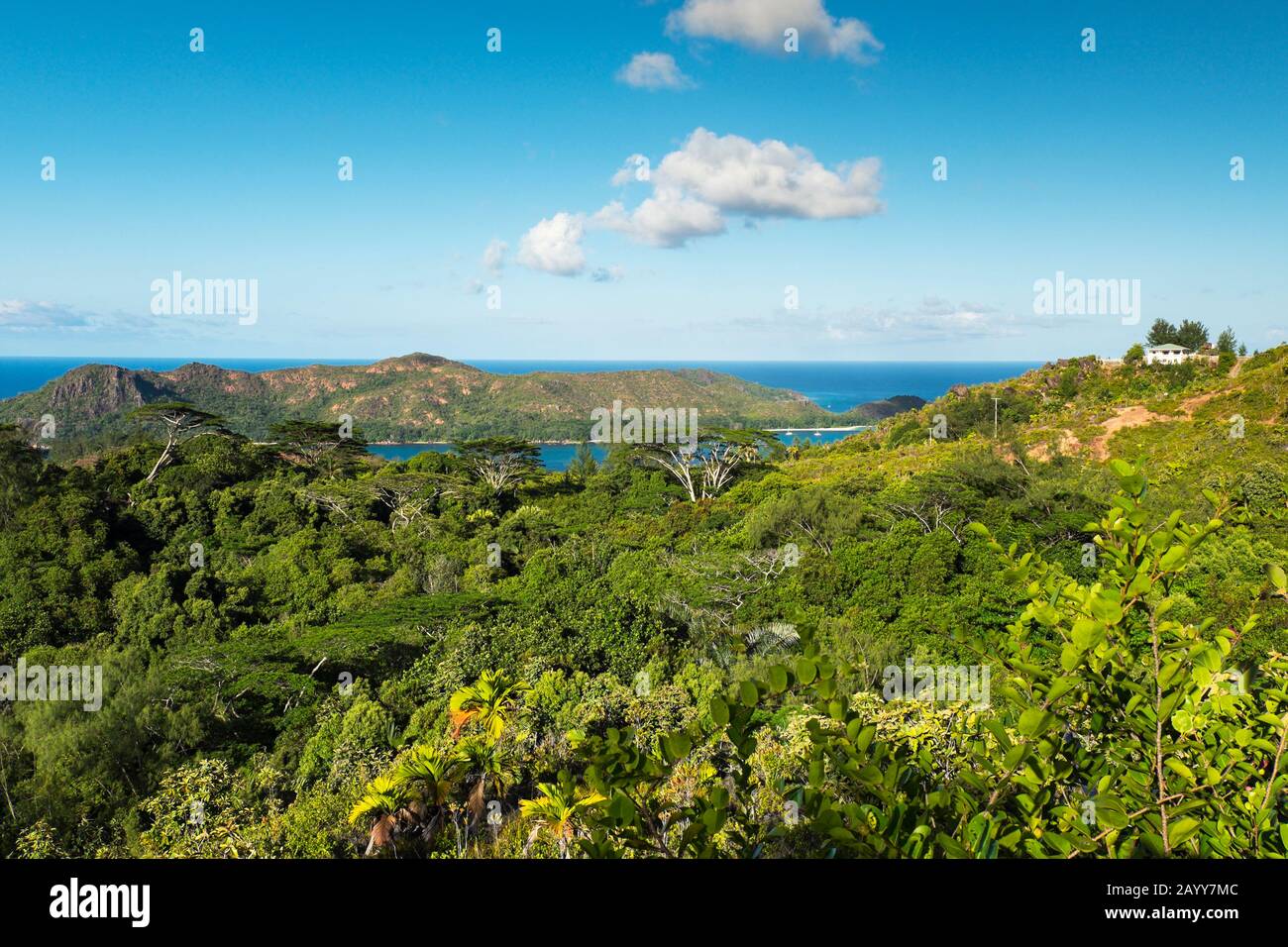 Blick auf Curieuse Island von und den dichten Wald von Simbabwe im nördlichen Teil von Praslin Island, den Seychellen Stockfoto